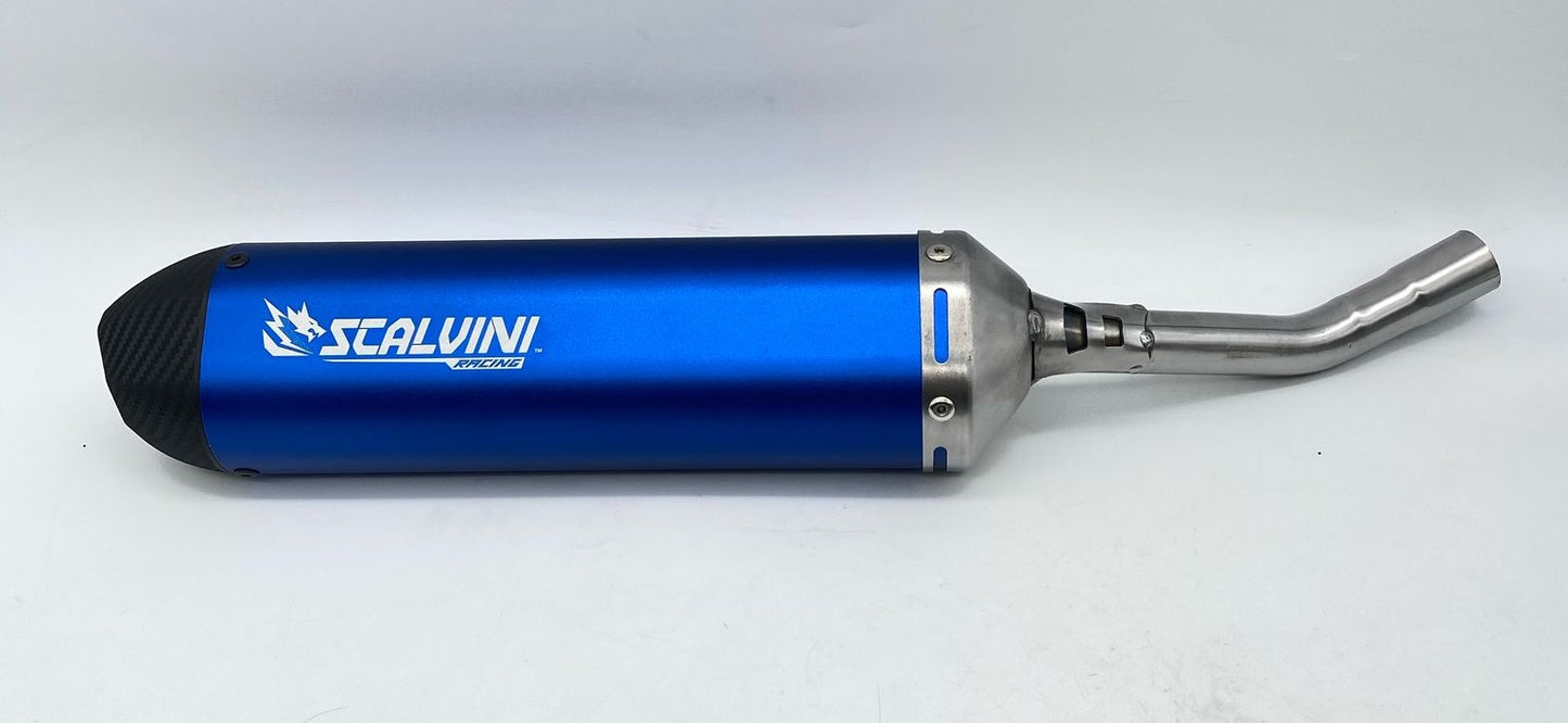 Silenziatore Carbon Look BETA RR RACING 200 BLU ('20-'25)